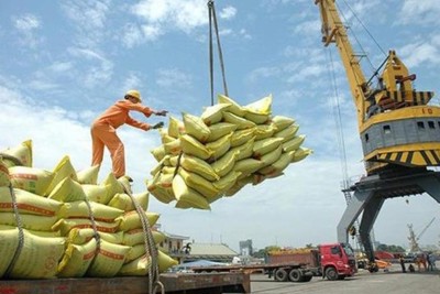 Xuất khẩu gạo năm 2022 được dự báo sản lượng tăng nhưng lợi nhuận giảm