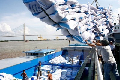 Xuất khẩu gạo tăng 5%, đạt 3,27 tỷ USD năm 2021