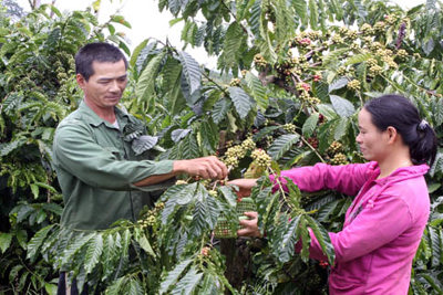  Xuất khẩu tăng nhưng chưa hết lo 