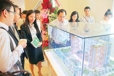 Cẩn trọng dự án hợp tác đầu tư