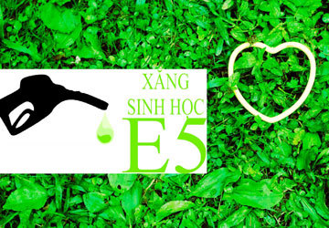 Sử dụng xăng sinh học theo đúng lộ trình: Cần “bà đỡ” mạnh tay Sử dụng xăng sinh học theo đúng lộ trình: Cần “bà đỡ” mạnh tay