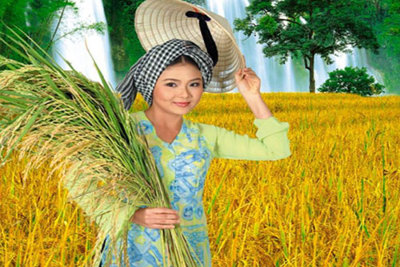 Hơn 300 nghìn hộ dân tham gia bảo hiểm nông nghiệp sau 3 năm thí điểm Hơn 300 nghìn hộ dân tham gia bảo hiểm nông nghiệp sau 3 năm thí điểm