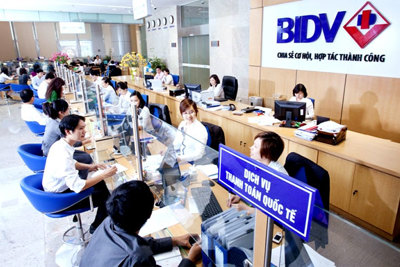 Chỉ định ngân hàng phục vụ dự án vay vốn WB