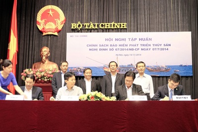 Bảo Việt được lựa chọn triển khai Chương trình Bảo hiểm khai thác thủy sản Bảo Việt được lựa chọn triển khai Chương trình Bảo hiểm khai thác thủy sản