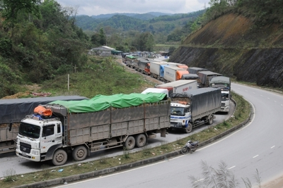  Gỡ khó cho xuất khẩu tiểu ngạch