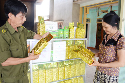 Nông dân Hàm Yên làm giàu từ phát triển vùng chuyên canh Nông dân Hàm Yên làm giàu từ phát triển vùng chuyên canh