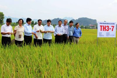 Ninh Bình: Tăng cường thu hút nguồn lực phát triển nông nghiệp Ninh Bình: Tăng cường thu hút nguồn lực phát triển nông nghiệp