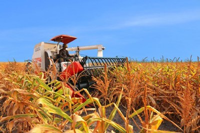 Tiếp tục phát huy nội lực ngành Nông nghiệp trong năm mới Tiếp tục phát huy nội lực ngành Nông nghiệp trong năm mới