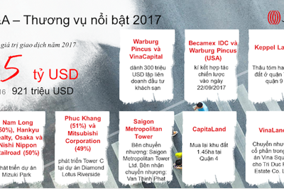 Một năm sôi động của hoạt động M&A bất động sản