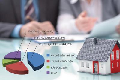 Nguồn vốn FDI bất động sản: "Tốt gỗ hơn tốt nước sơn" 