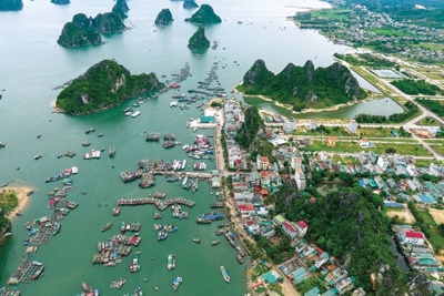  Giá đất nơi hứa hẹn lên đặc khu vẫn cao dù khó bán 