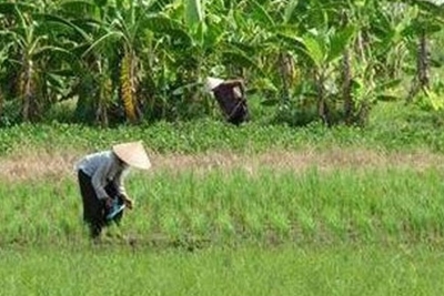 Thực trạng quản lý và sử dụng đất đai hiện nay 