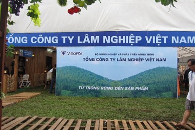 Hướng dẫn áp mã, tính thuế xuất khẩu mặt hàng ván ghép?