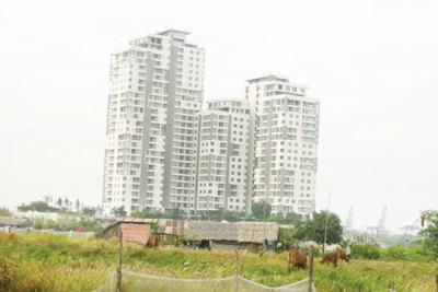 Quyết thu hồi dự án “rùa”