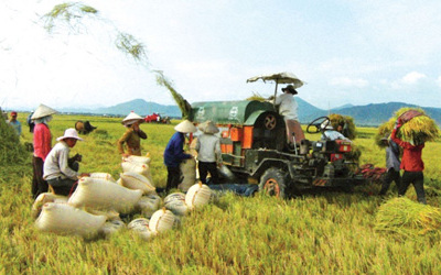 Củng cố trụ cột nông nghiệp, bảo đảm ổn định kinh tế trong giai đoạn khó khăn