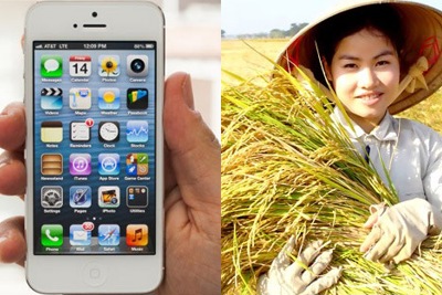 iPhone hay “Ai lúa”?