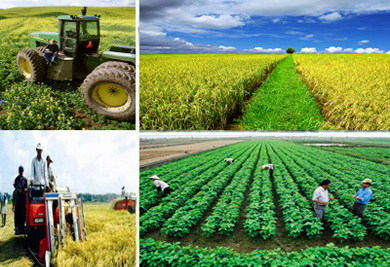 Huy động nguồn lực từ các doanh nghiệp đầu tư cho xây dựng nông thôn mới Huy động nguồn lực từ các doanh nghiệp đầu tư cho xây dựng nông thôn mới