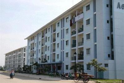 2.500 căn hộ sẽ được chào bán tại TP. Hồ Chí Minh