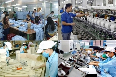 3 chủ đề lớn của Diễn đàn kinh tế tư nhân Việt Nam 2019 