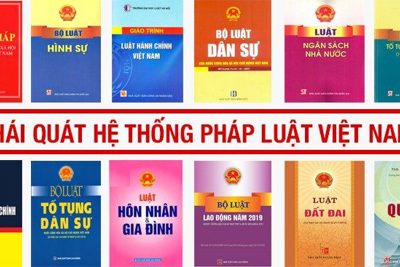 Bàn về hoạt động pháp điển hoá hệ thống quy phạm pháp luật ở Việt Nam 