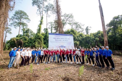 Tuổi trẻ Agribank tham gia trồng cây xanh tại Khu di tích Đá Chông - K9