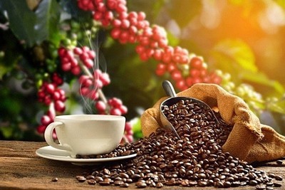  Giá cà phê tăng phiên thứ 3 liên tiếp, trong nước cán mốc 33.000 đồng/kg