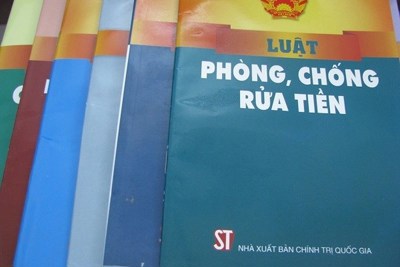 Đẩy mạnh công tác đào tạo, bồi dưỡng về phòng, chống rửa tiền tại Việt Nam