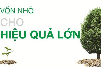 Bài toán về vốn cho kinh doanh nhỏ lẻ