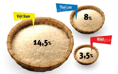 2 tháng đầu năm xuất khẩu được 421,2 nghìn tấn gạo