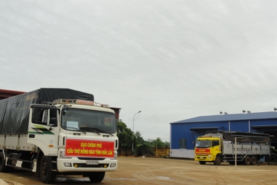 Cục DTNN khu vực Nam Tây Nguyên: Đạt nhiều kết quả ngay trong những tháng đầu năm