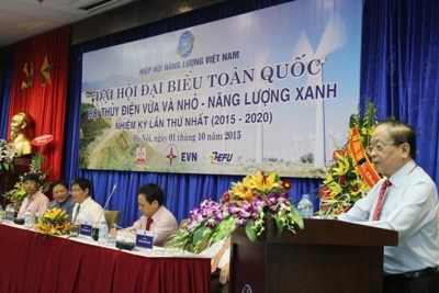 Đại hội Hội Thủy điện vừa và nhỏ-Năng lượng xanh