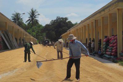 Công khai minh bạch trong bán thóc dự trữ quốc gia tại Chi cục Dự trữ Nhà nước Phú Yên