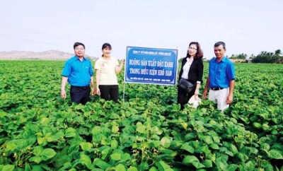 Agribank Ninh Thuận trực tiếp hỗ trợ cho doanh nghiệp vay vốn theo Nghị quyết 14