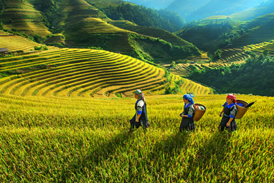 Động lực giảm nghèo đa chiều bền vững ở Tây Bắc
