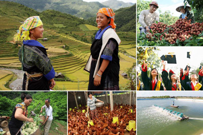 Tổng dư nợ tín dụng trên địa bàn Tây Bắc tăng gần 11%