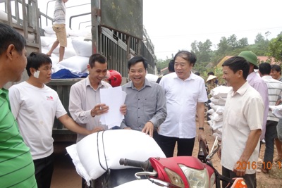 Hạt gạo Chính phủ ấm lòng người dân trồng rừng