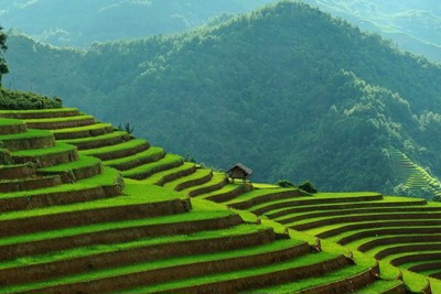 Hợp tác, xúc tiến du lịch Việt Nam - Hà Lan