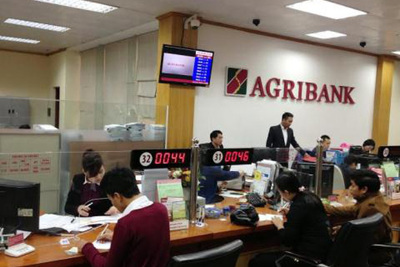 Agribank: Chuyển mình từ thành công tái cơ cấu