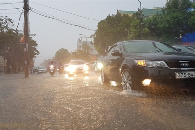 Kiểm tra đôn đốc, chỉ đạo từng điểm kho, đảm bảo an toàn hàng dự trữ quốc gia