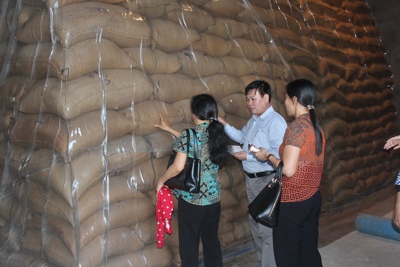 Chủ động ứng phó với các tình huống xảy ra do mưa lớn, lũ quét 