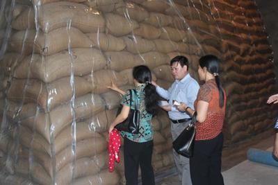 Ngành Dự trữ Nhà nước: Sẵn sàng ứng phó với cơn bão số 5