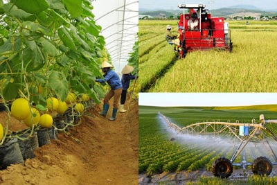 Năm 2021: Ngành Nông nghiệp đạt nhiều kết quả vượt bậc