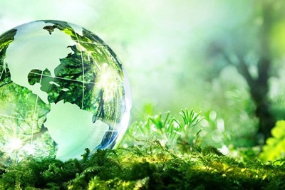 Năm 2022: Hành động với những mục tiêu khẩn cấp về môi trường