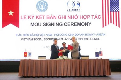 BHXH Việt Nam hợp tác với Hội đồng Kinh doanh Hoa Kỳ - ASEAN về thực hiện chính sách BHYT