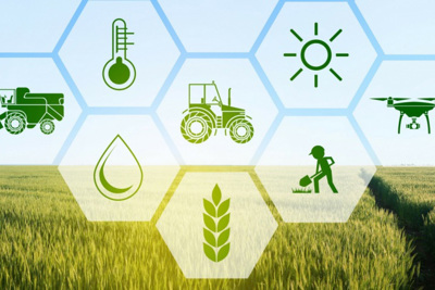 Hướng tới mô hình sản xuất xanh trong nông nghiệp