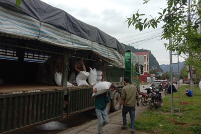 Xuất cấp hơn 484 tấn gạo dự trữ quốc gia cho tỉnh Hà Giang