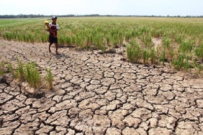 Việt Nam đẩy mạnh các hành động ứng phó với biến đổi khí hậu
