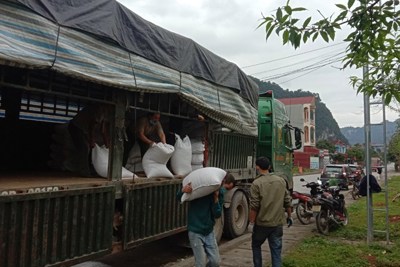 Xuất cấp 432,78 tấn gạo hỗ trợ nhân dân tỉnh Bình Phước do mất mùa