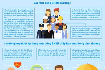 [Infographic] Mức đóng và phương thức đóng BHXH vào Quỹ Bảo hiểm tai nạn lao động, bệnh nghề nghiệp