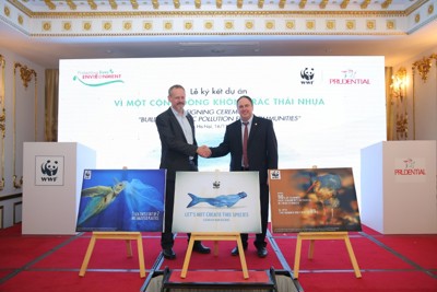 Prudential và WWF cùng chung tay “Giải cứu đại dương” 